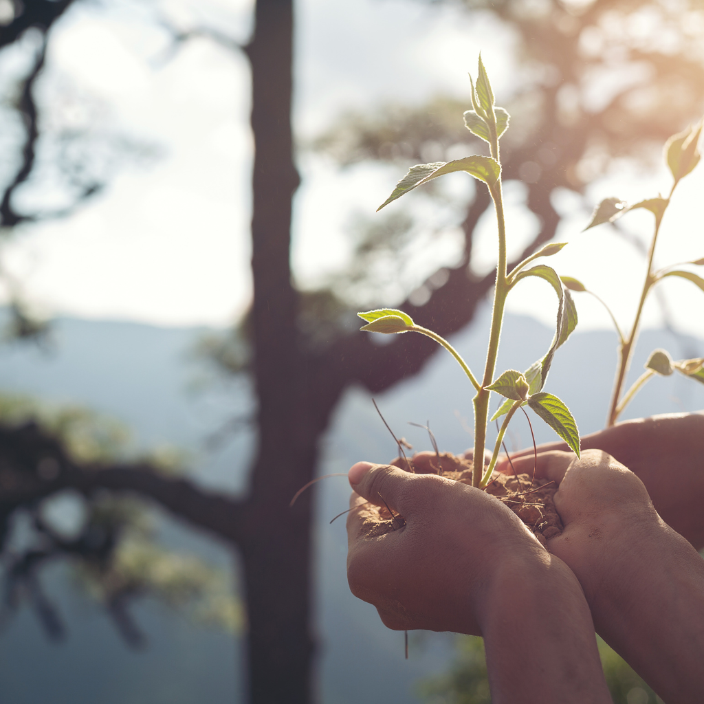 First steps to sustainable skincare